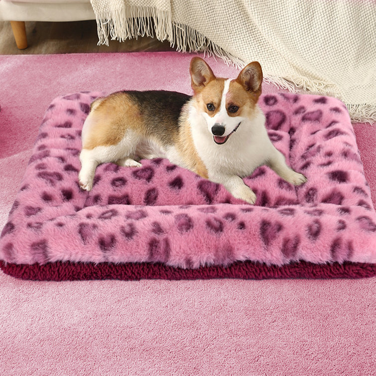 Large pink clearance dog bed